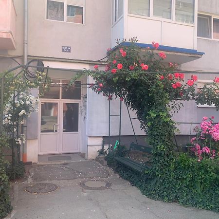 Cazare Medias, Apartament Modern Zewnętrze zdjęcie