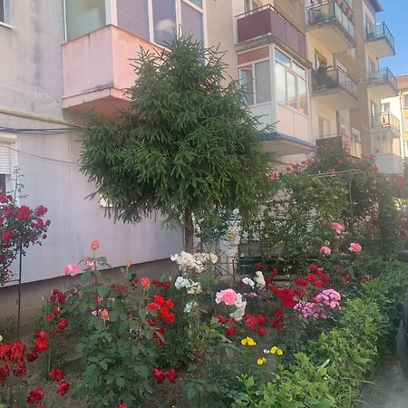 Cazare Medias, Apartament Modern Zewnętrze zdjęcie